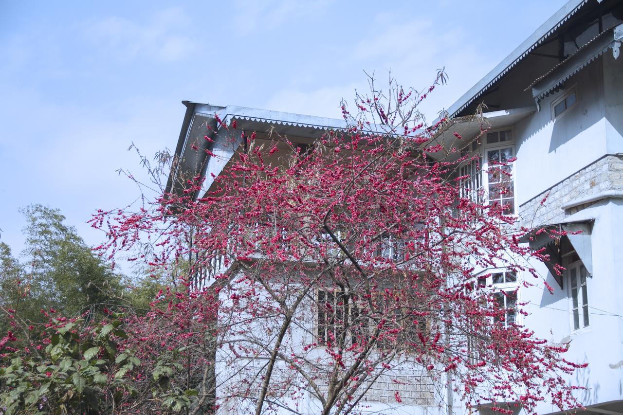 The Mazong Hotel Ґанґток Екстер'єр фото